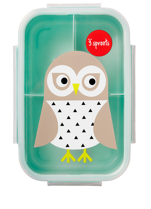 owl bento box